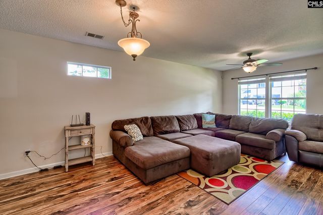 113 Wingspan Way, Chapin, SC 29036