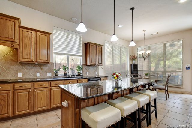 15814 HACHITA BLANCO, Helotes, TX 78023