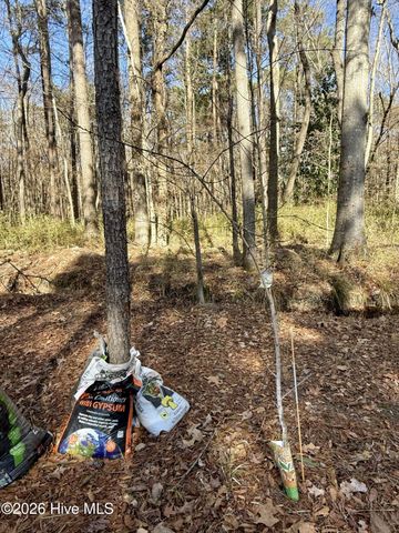 1176 Folley Road, Elizabeth City, NC 27909