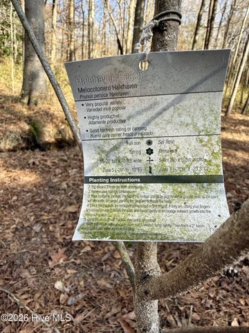 1176 Folley Road, Elizabeth City, NC 27909