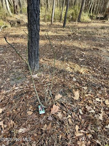 1176 Folley Road, Elizabeth City, NC 27909