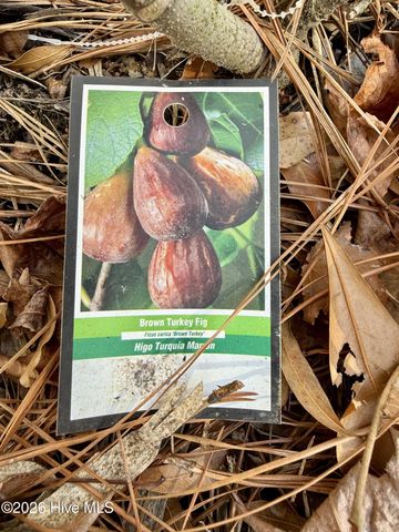 1176 Folley Road, Elizabeth City, NC 27909