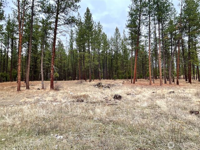 27 Gooseberry Way, Tonasket, WA 98855