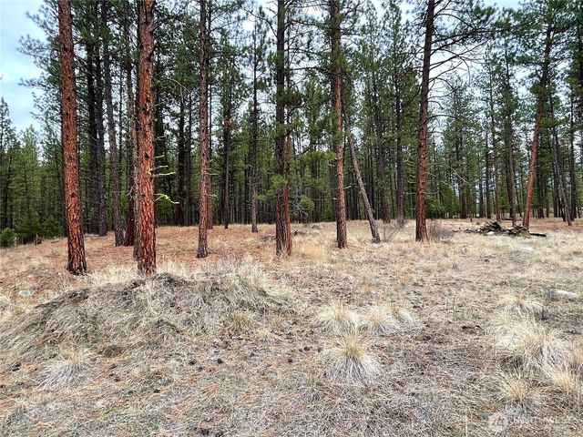 27 Gooseberry Way, Tonasket, WA 98855