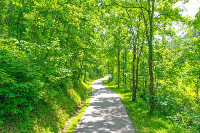 111 Gum Branch Road Gum Branch Road, Manchester, KY 40962