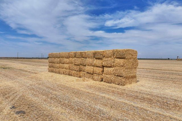 4617 Road 42, Alpaugh, CA 93201