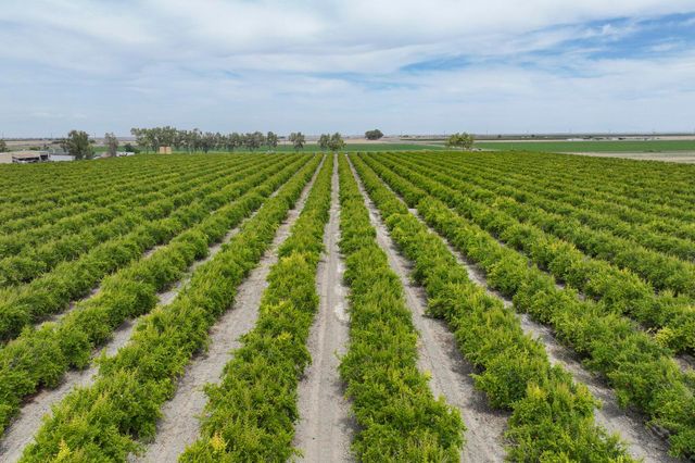 4617 Road 42, Alpaugh, CA 93201