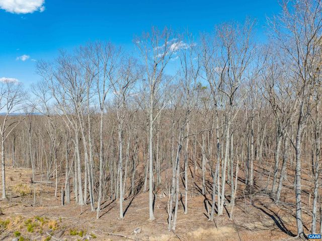 159 WARREN FERRY RD, Scottsville, VA 24590