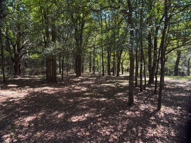 7545 County Road 206, Grandview, TX 76050