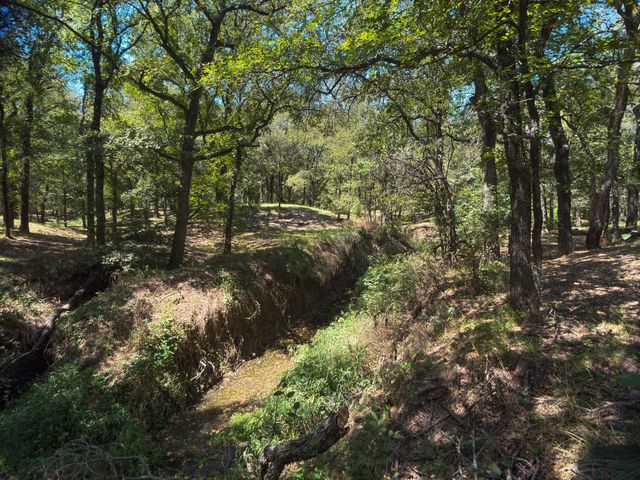7545 County Road 206, Grandview, TX 76050