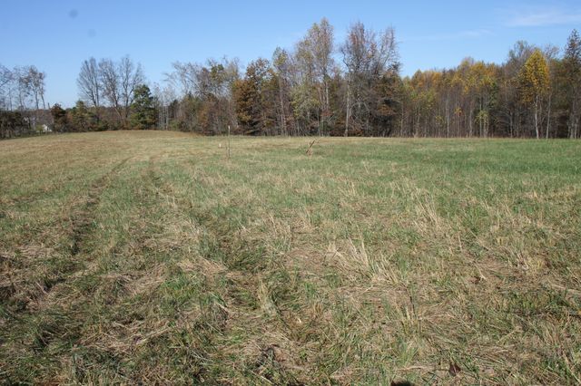 221 Whitson Rd, Bethpage, TN 37022