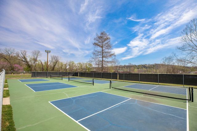 2 Ash Court, Branson, MO 65616