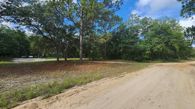 00 Britt, Interlachen, FL 32148