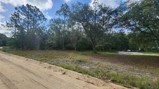 00 Britt, Interlachen, FL 32148