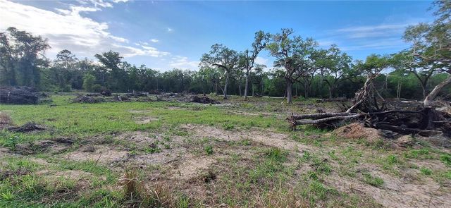 7242 ELAINE DRIVE, Webster, FL 33597