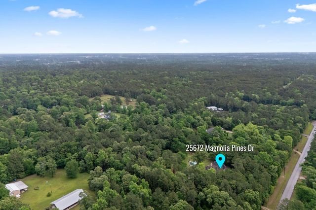 25672 Magnolia Pines Drive, Magnolia, TX 77355