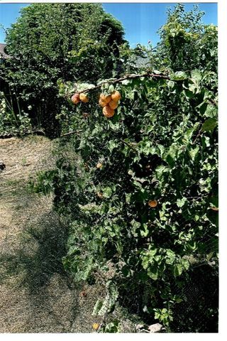 10419 Cimmeron Trail Drive, Adelanto, CA 92301