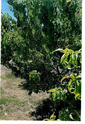 10419 Cimmeron Trail Drive, Adelanto, CA 92301