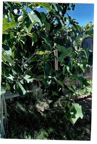 10419 Cimmeron Trail Drive, Adelanto, CA 92301