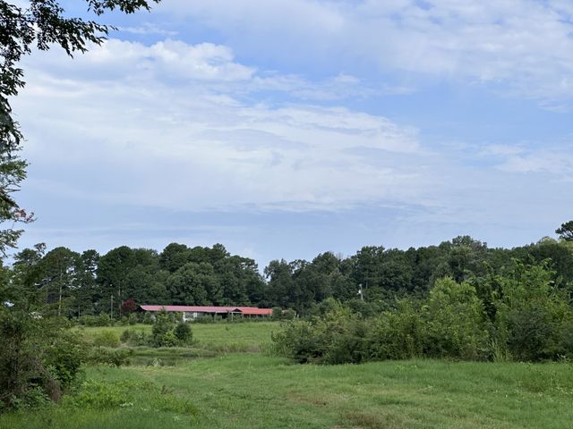 2096 Fm 21, Pittsburg, TX 75686