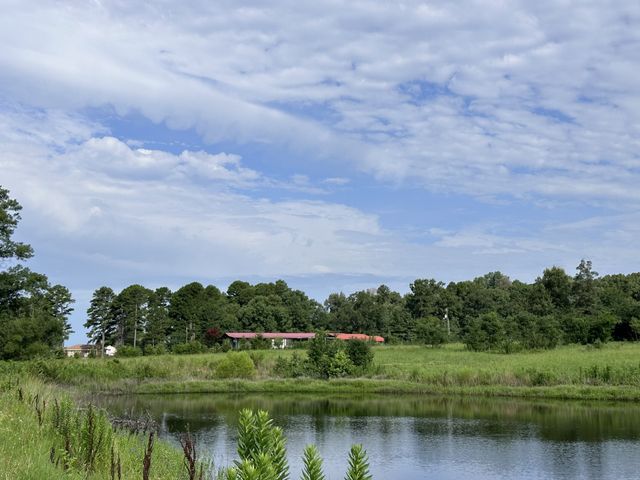 2096 Fm 21, Pittsburg, TX 75686