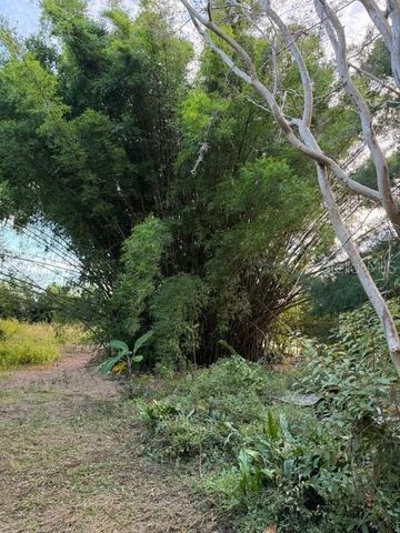 14914 SE 56TH AVENUE, Summerfield, FL 34491