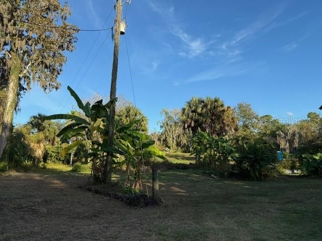 14914 SE 56TH AVENUE, Summerfield, FL 34491