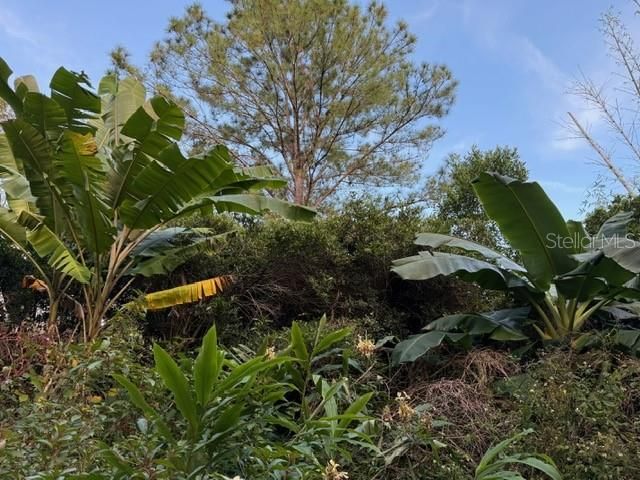 14914 SE 56TH AVENUE, Summerfield, FL 34491