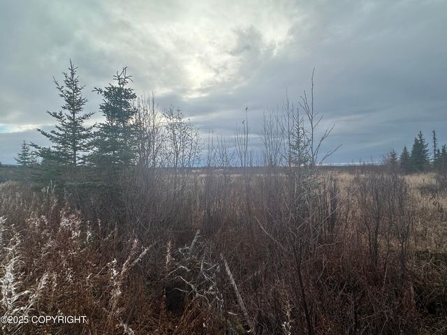 005 Wells Street, Ninilchik, AK 99639