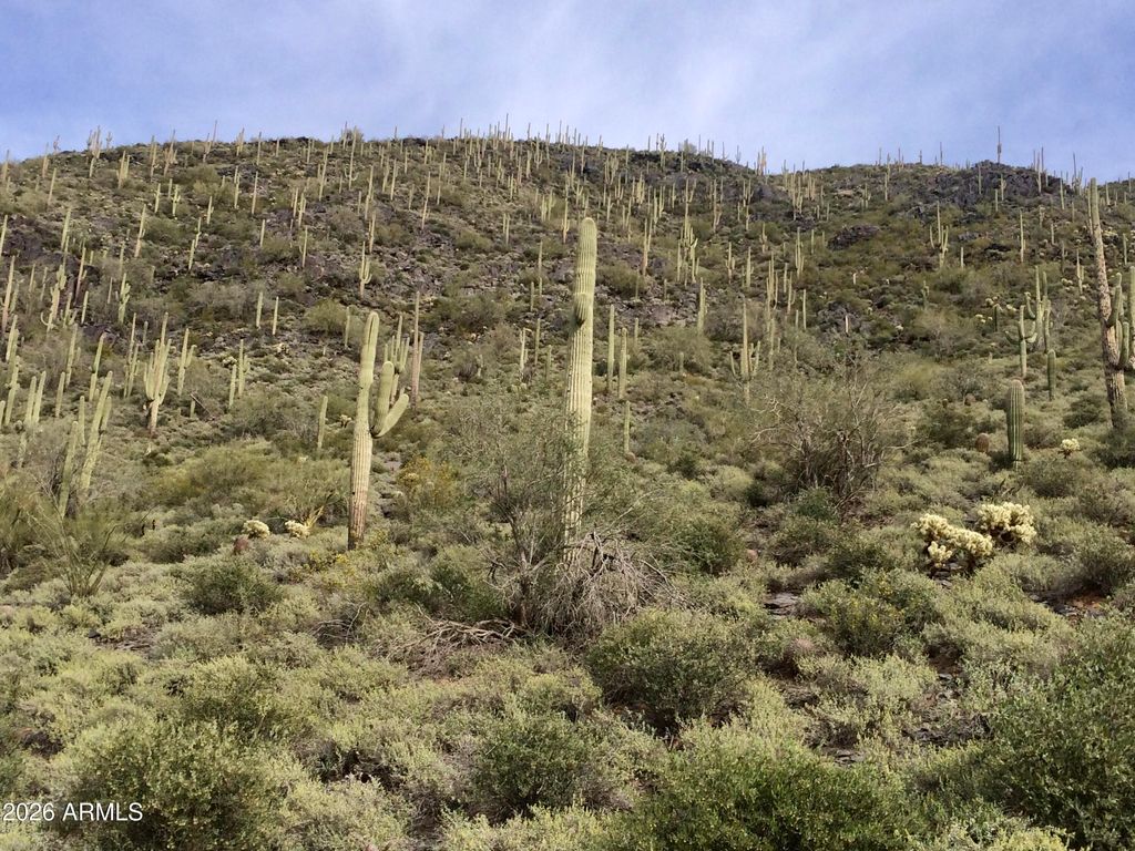 6212 E CARRIAGE Drive -, Cave Creek, AZ 85331 — photo 2