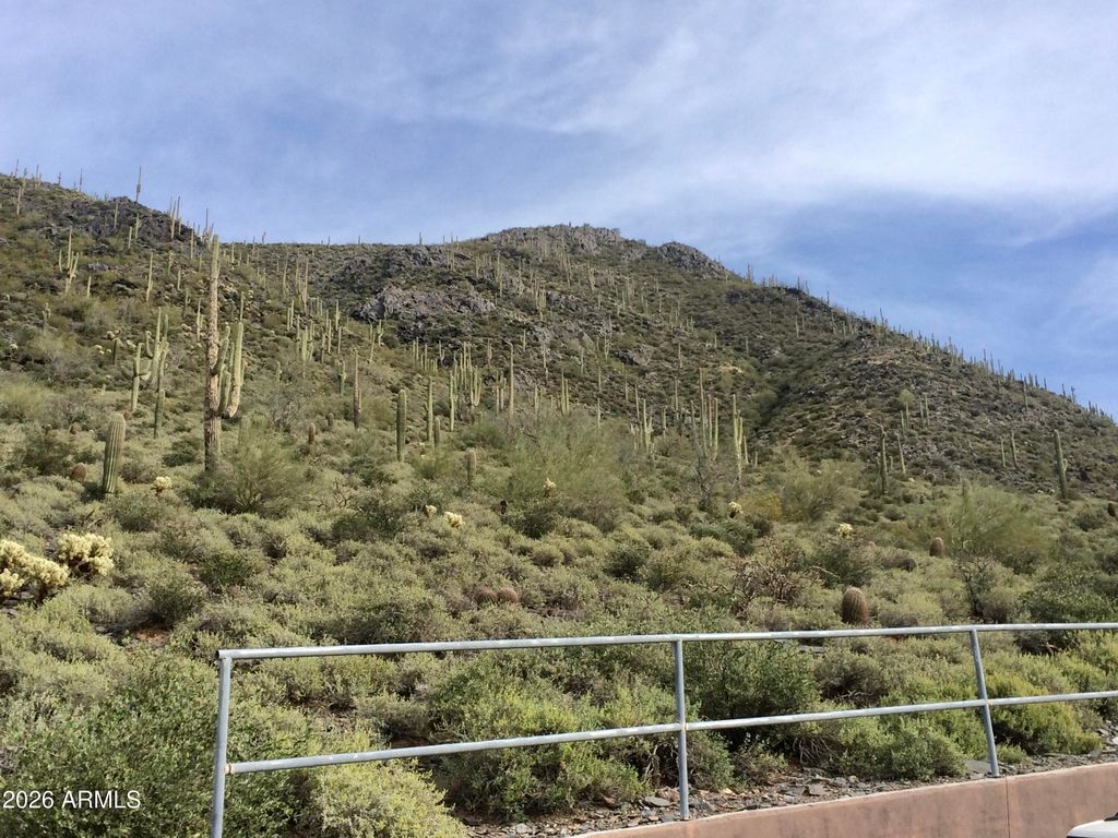 6212 E CARRIAGE Drive -, Cave Creek, AZ 85331 — photo 3