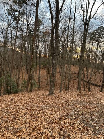 0 Tracks Hollow, Murphy, NC 28906