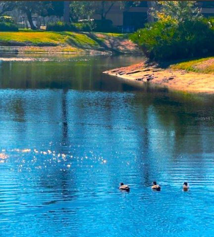 2661 SABAL SPRINGS CIRCLE 204, Clearwater, FL 33761