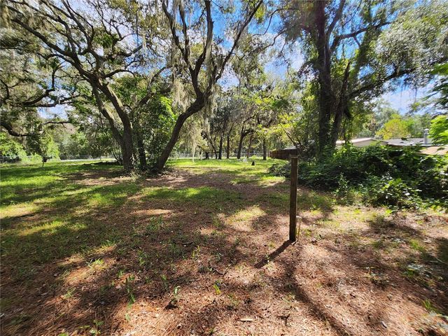 16930 SE 1ST LANE, Silver Springs, FL 34488