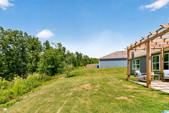804 FISH CAMP ROAD, Chelsea, AL 35043