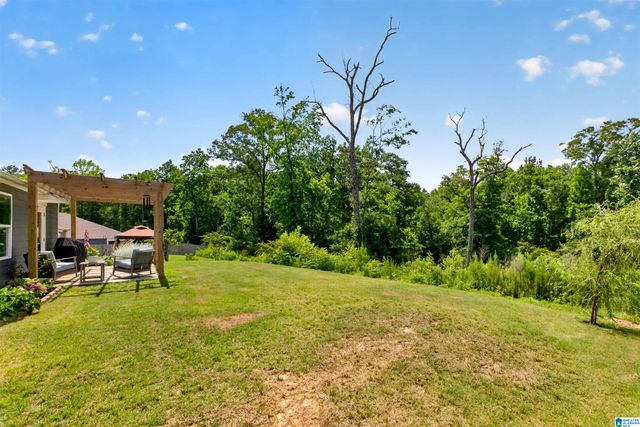 804 FISH CAMP ROAD, Chelsea, AL 35043