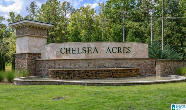 804 FISH CAMP ROAD, Chelsea, AL 35043