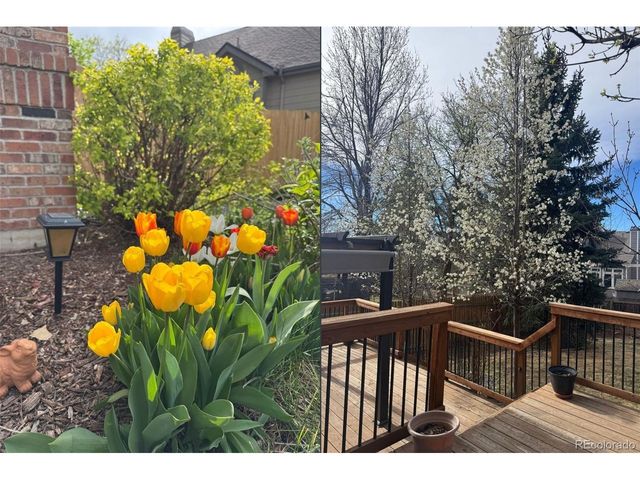 12526 W 85th Cir, Arvada, CO 80005