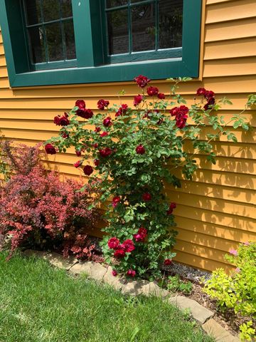 118 Linden Court, Ypsilanti City, MI 48197