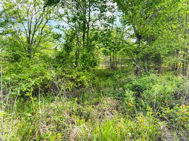 TBD Private Road 7782, Wills Point, TX 75169