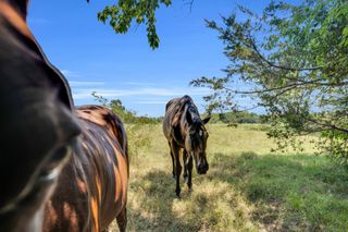 TBD County Road 348, Wills Point, TX 75169