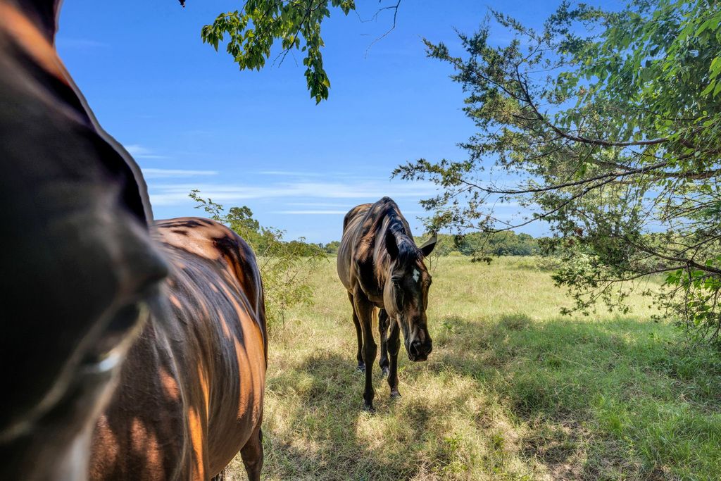TBD County Road 348, Wills Point, TX 75169