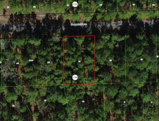 910 W BANNISTER DRIVE, Citrus Springs, FL 34434