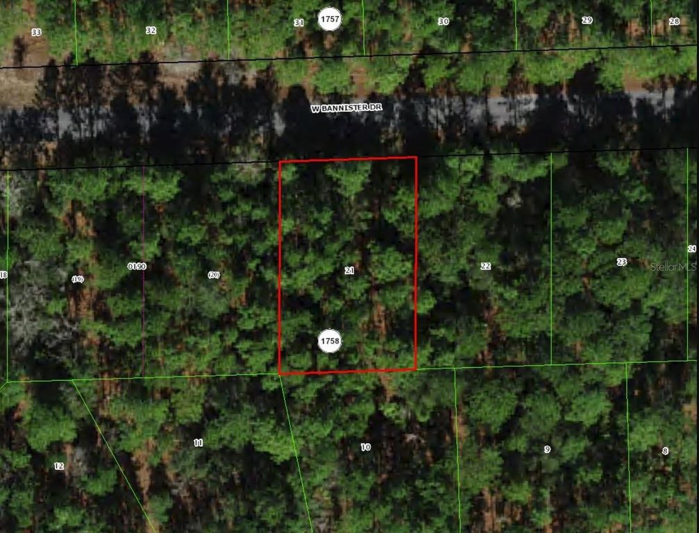 910 W BANNISTER DRIVE, Citrus Springs, FL 34434