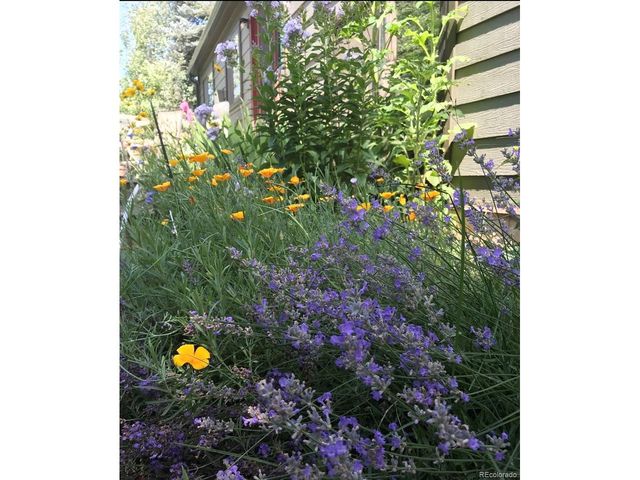 231 Hoover Ave, Louisville, CO 80027