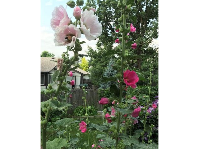 231 Hoover Ave, Louisville, CO 80027