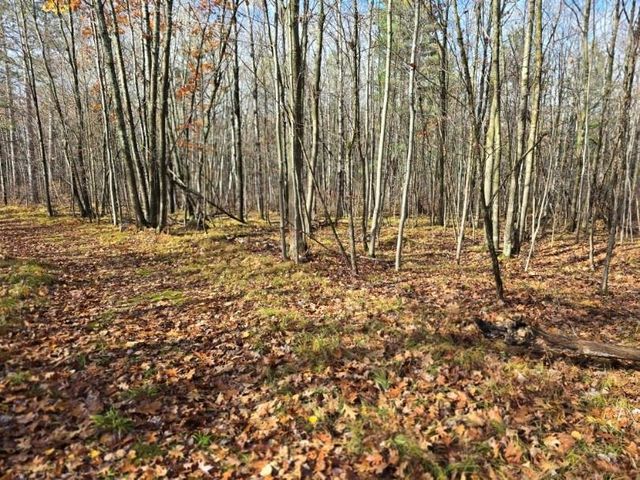 Lot 41 Fat Tire Lane, Hayward, WI 54843