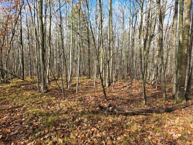 Lot 41 Fat Tire Lane, Hayward, WI 54843