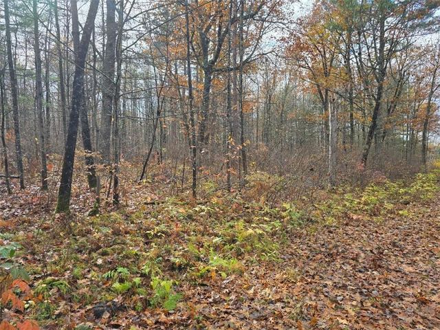 Lot 41 Fat Tire Lane, Hayward, WI 54843