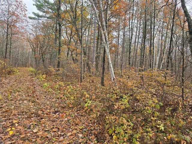 Lot 41 Fat Tire Lane, Hayward, WI 54843